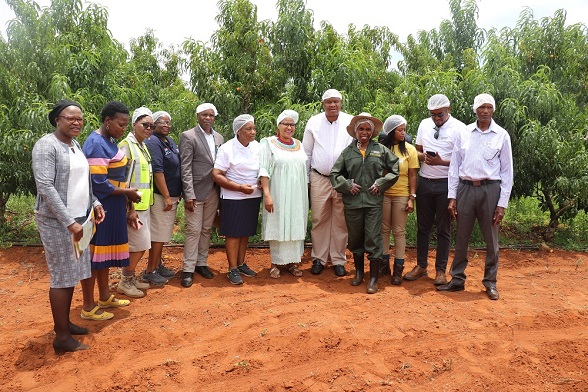 MEC FOR AGRICULTURE AND RURAL DEVELOPMENT, THABO MOKONE LAUNCH HARVESTING SEASON